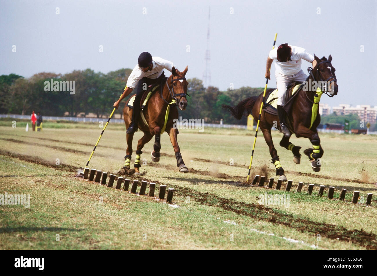 Cavallo tenda ancoraggio competizione sportiva Bombay Mumbai India Maharashtra Foto Stock