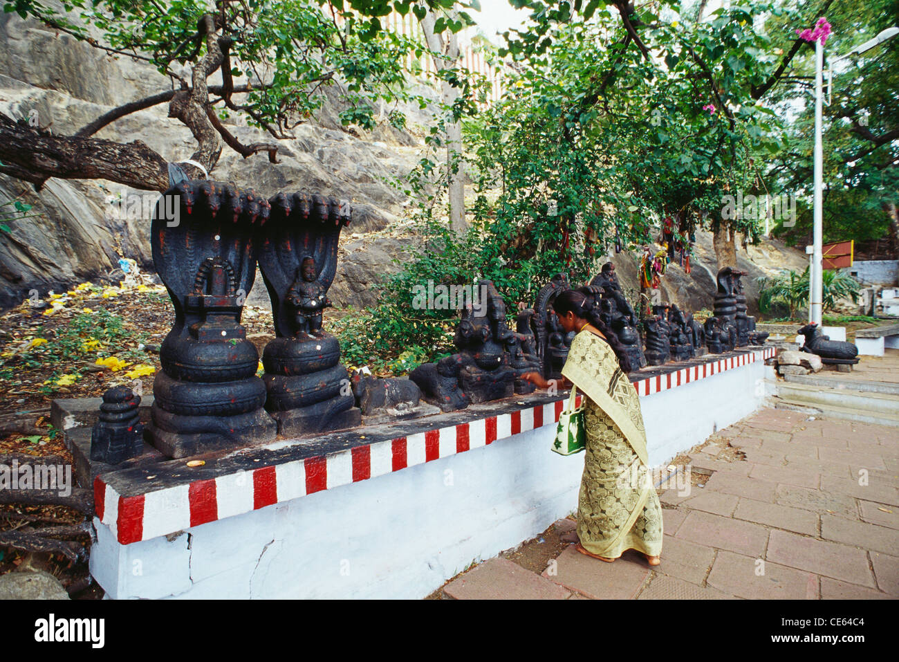 Donna indiana a pregare Dio serpente Naga statue Tamil Nadu India Foto Stock