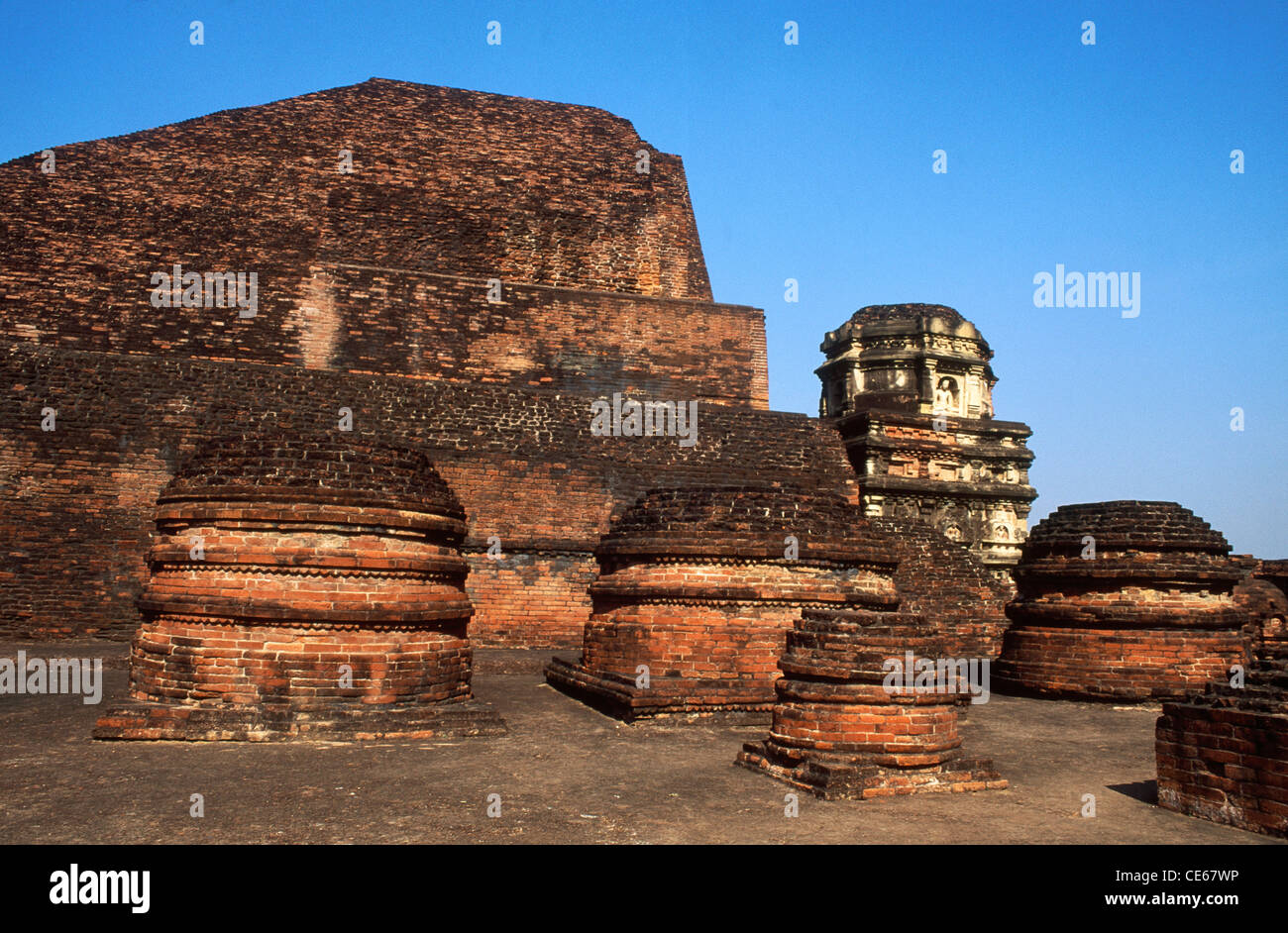 Grande tempio principale torre angolare e sito votiva n. 3 ; Nalanda complesso universitario ; Nalanda ; Bihar ; India Foto Stock