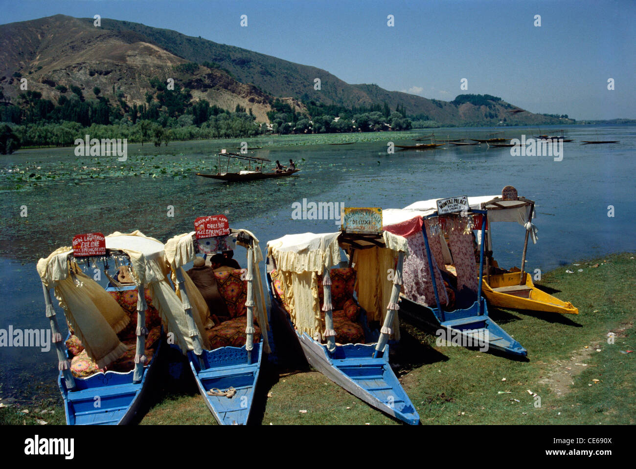 Shikara ; lago di Manasbal ; distretto di Ganderbal ; Safapora‎ ; valle del Kashmir ; Jammu e Kashmir ; India ; Asia Foto Stock