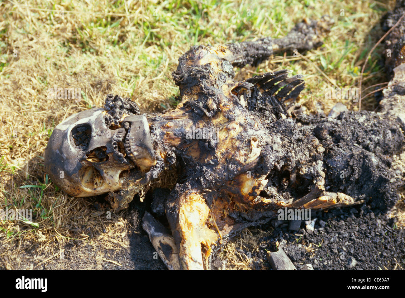 Scheletro bruciato; 1999 ciclone tropicale di Odisha; morte dopo ciclone; Orissa; Odisha; India; Asia; novembre 1999 Foto Stock
