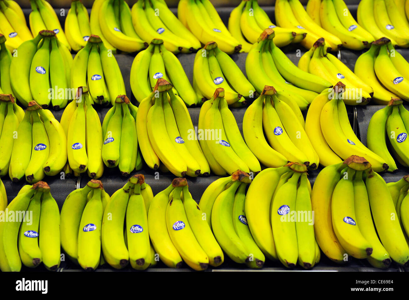 Vista ravvicinata delle banane gialle sul display in un supermercato. Foto Stock