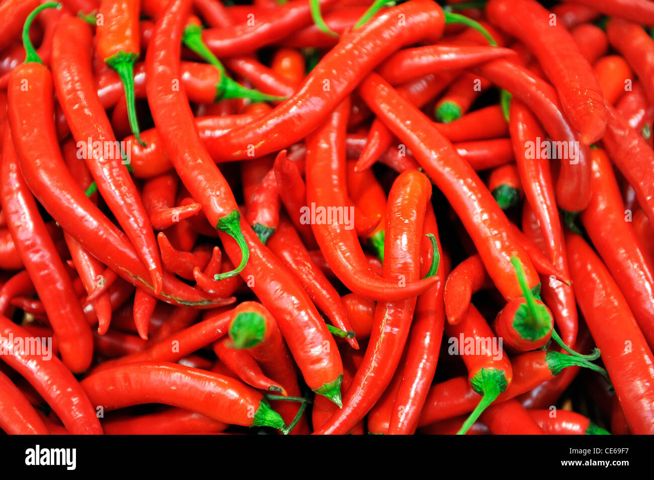 Vista ravvicinata di peperoncino rosso. Foto Stock
