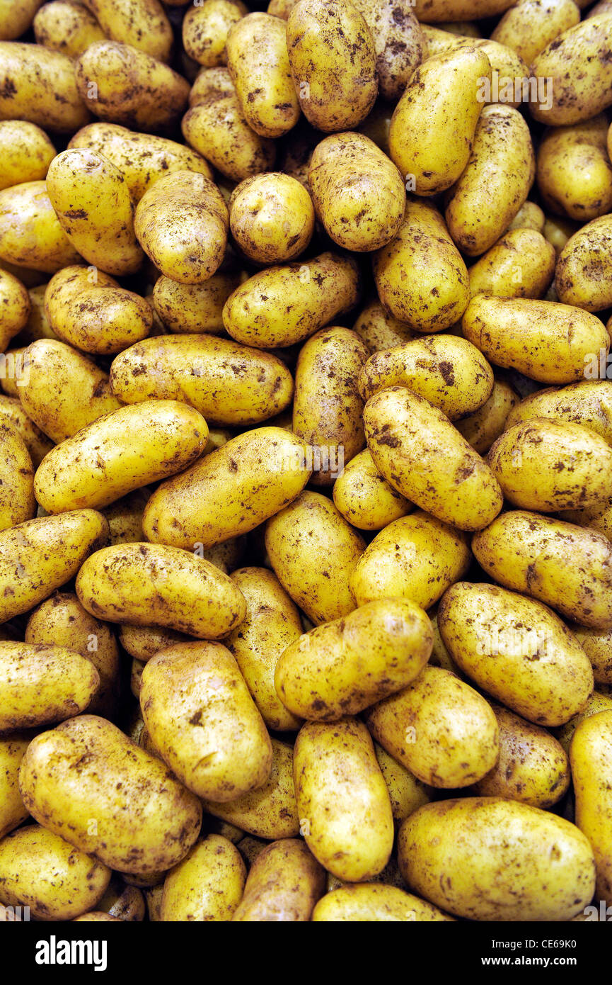 Close up di patate lavate. Foto Stock