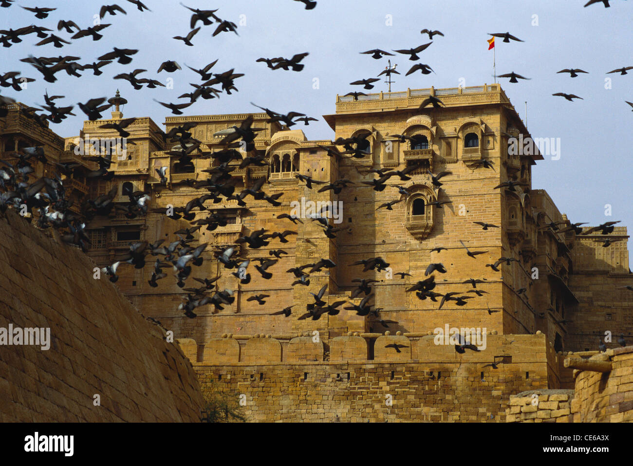 Piccioni volare al di sopra di Jaisalmer fort ; Jaisalmer ; Rajasthan ; India Foto Stock
