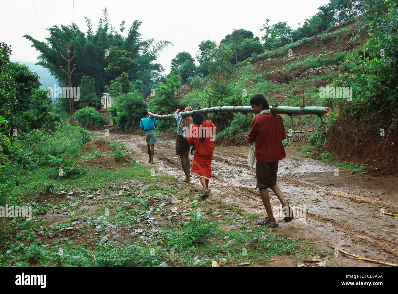 Persone che esercitano il palo di bambù vicino a Valle silenziosa ; Kerala ; India Foto Stock