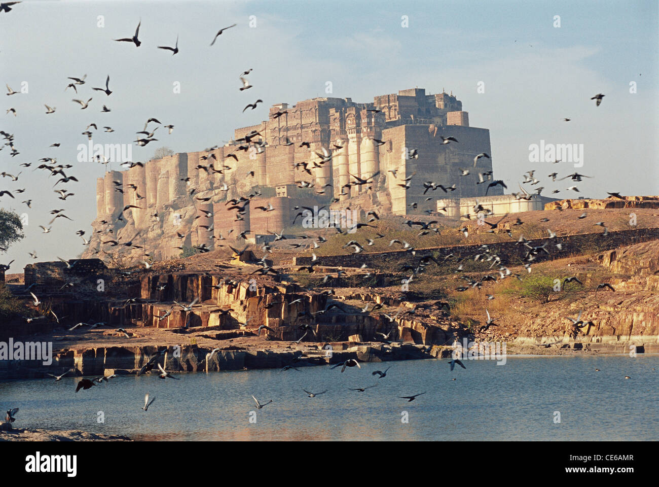 I volatili piccioni battenti Meherangarh fort ; Jodhpur ; Rajasthan ; India Foto Stock