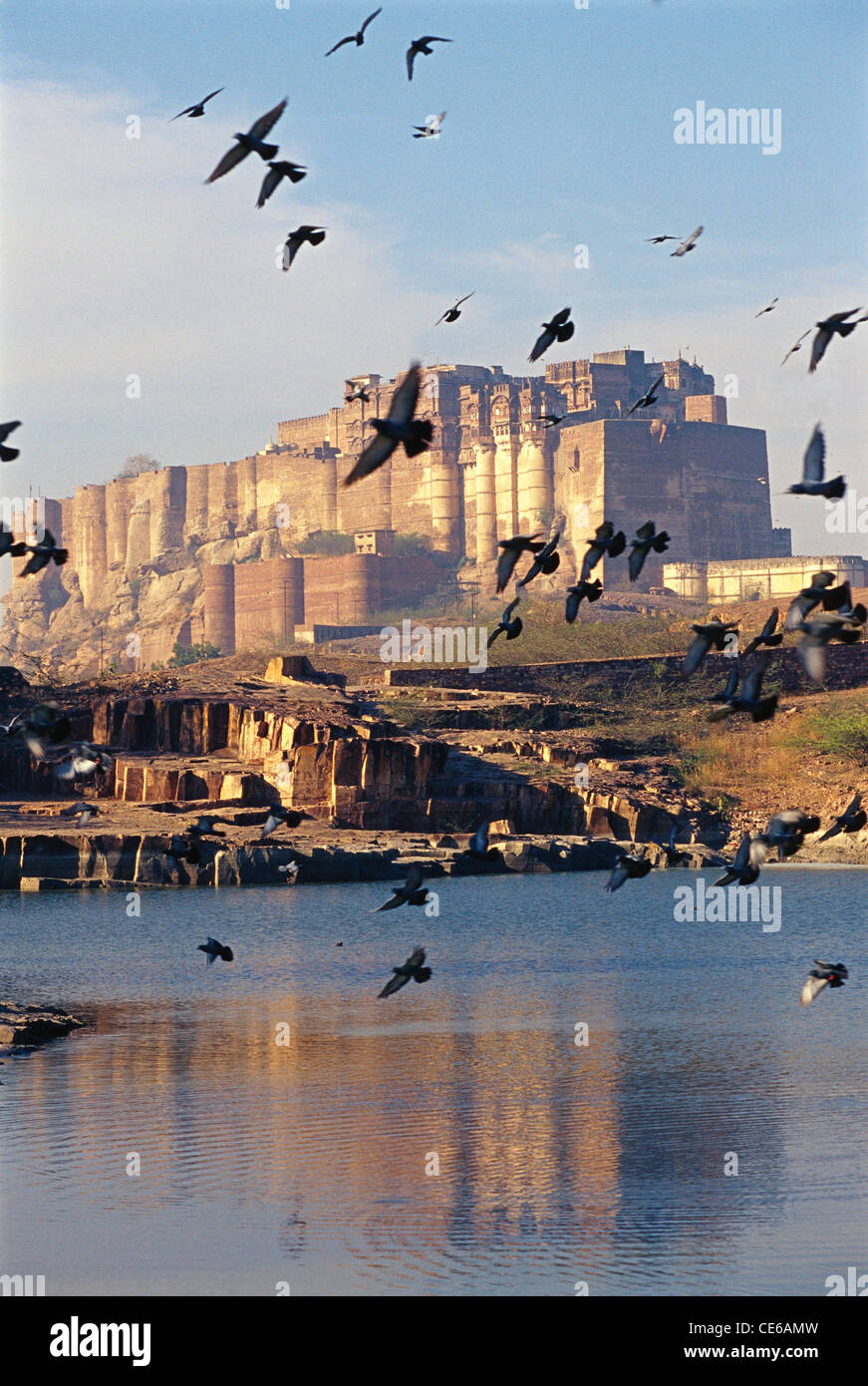 I volatili piccioni battenti Meherangarh fort ; Jodhpur ; Rajasthan ; India Foto Stock