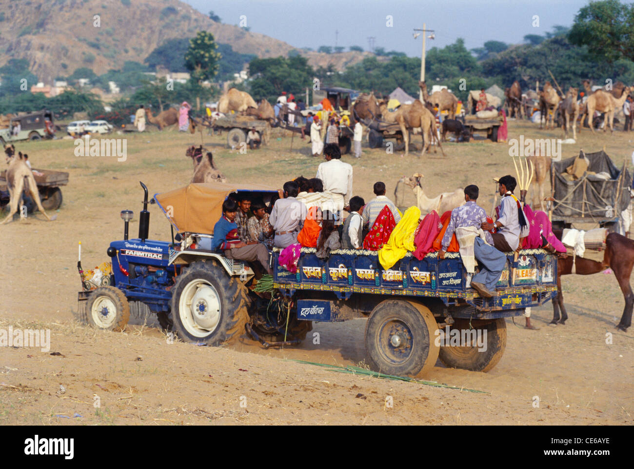 Popolazione rurale indiana seduto in trattore in fiera Pushkar ; Ajmer ; Rajasthan ; India ; Asia Foto Stock