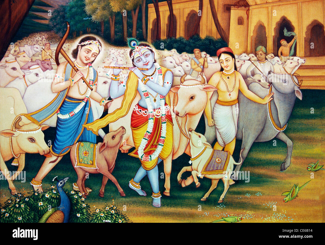 Krishna e Balram con Gopal e mucche pittura in miniatura Foto Stock