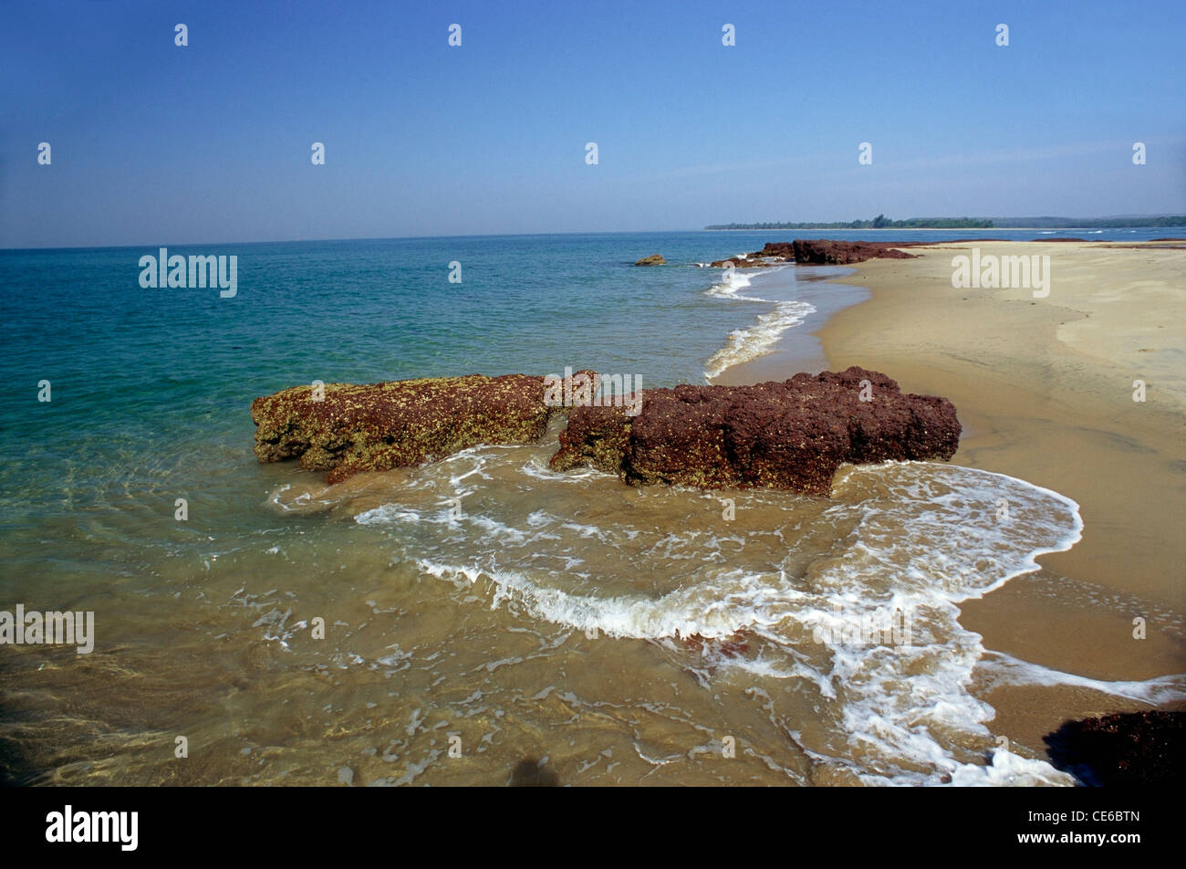 Spiaggia Bhogway verde mare blue sky white surf dorata sabbia marrone rocce ; Sindhudurga ; Maharashtra ; India Foto Stock