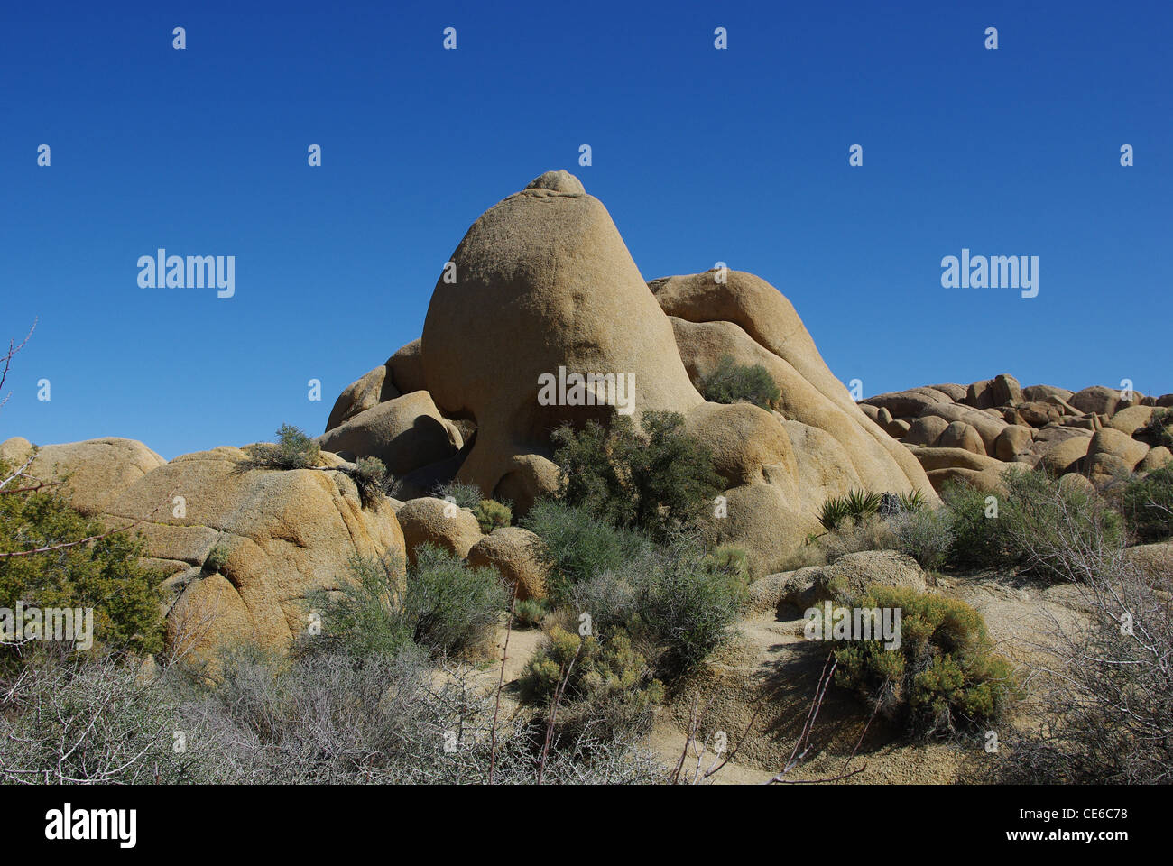 Cranio Rock, Joshua Tree National Park, California Foto Stock