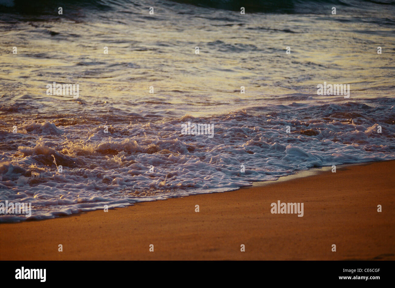 Spiaggia Mare surf schiuma di sabbia sulle onde del mare ; kunkeshwar ; sindhudurga ; maharashtra ; india Foto Stock