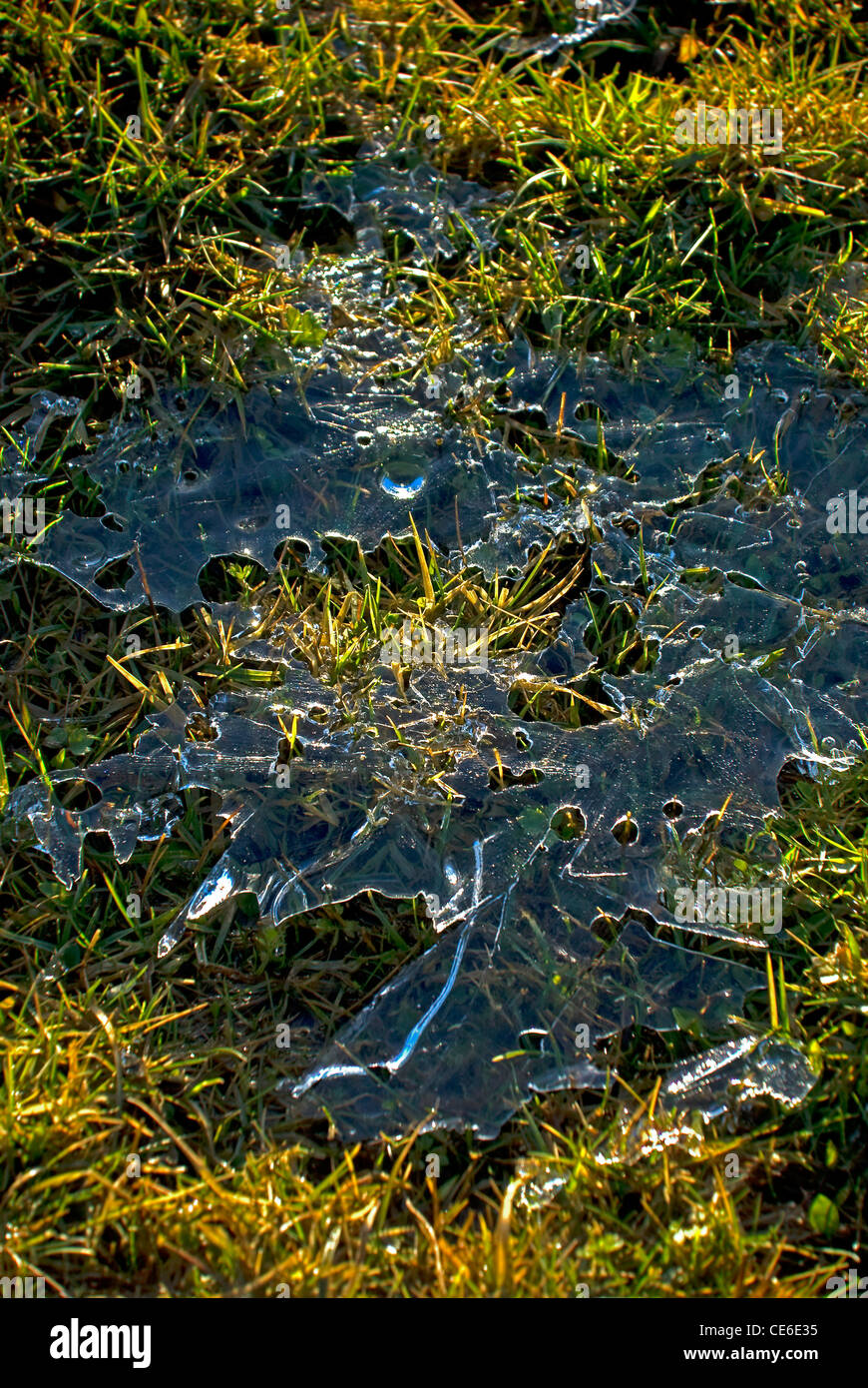 Fusione del ghiaccio su erba nel sole al mattino Foto Stock