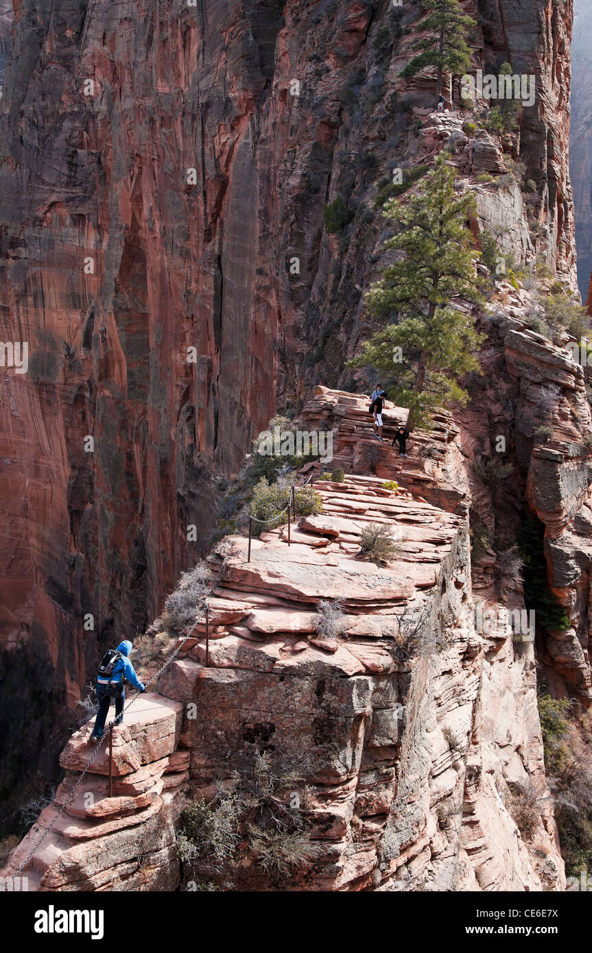 Angeli pista di atterraggio, Virgin River Canyon Zion National Park nello Utah. Foto Stock