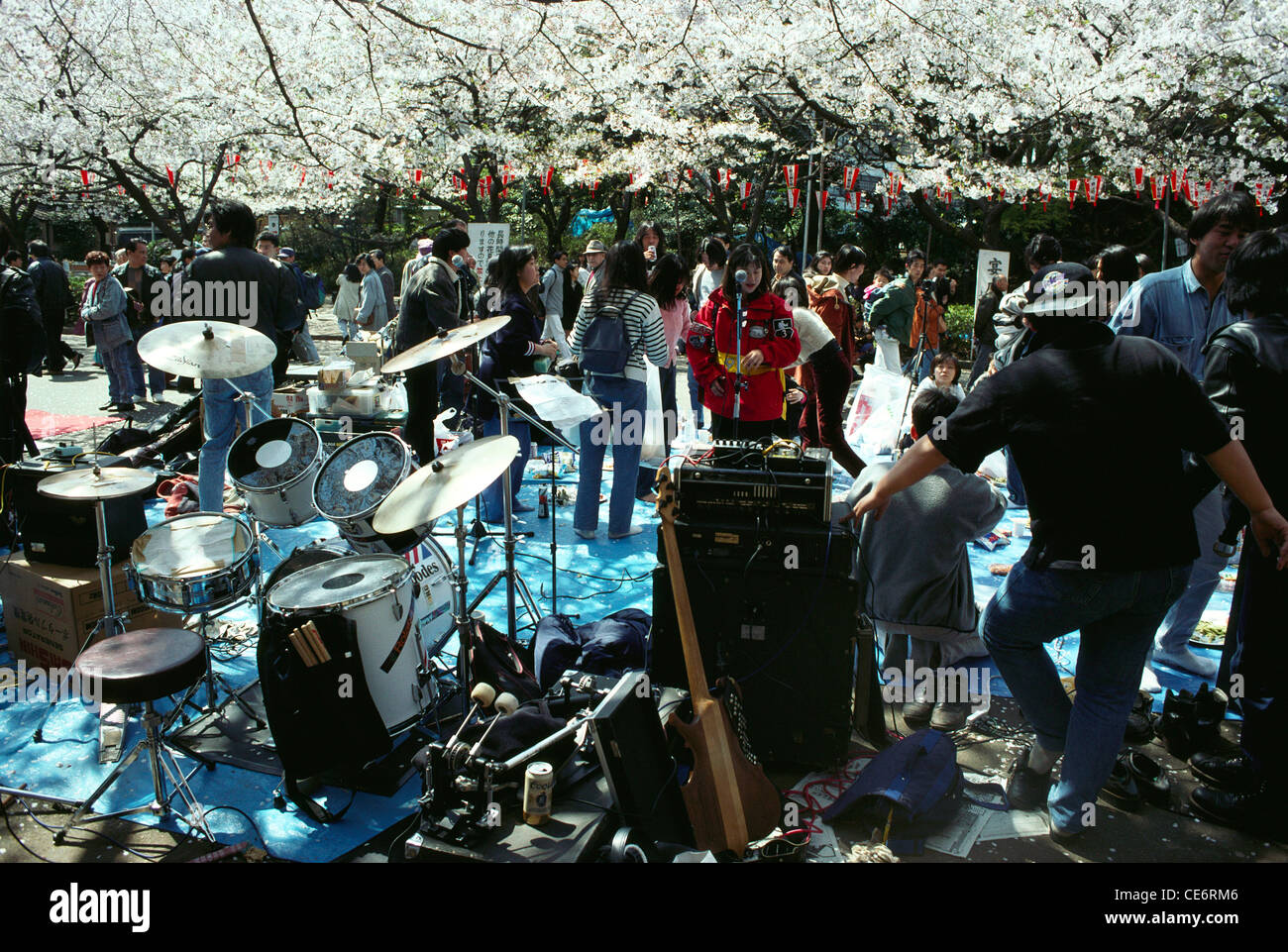 Musicians at cherry blossom festival ; tokyo ; japan ; asia Foto Stock