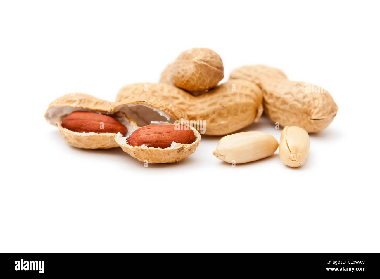 Una immagine di qualche bella arachidi su sfondo bianco Foto Stock