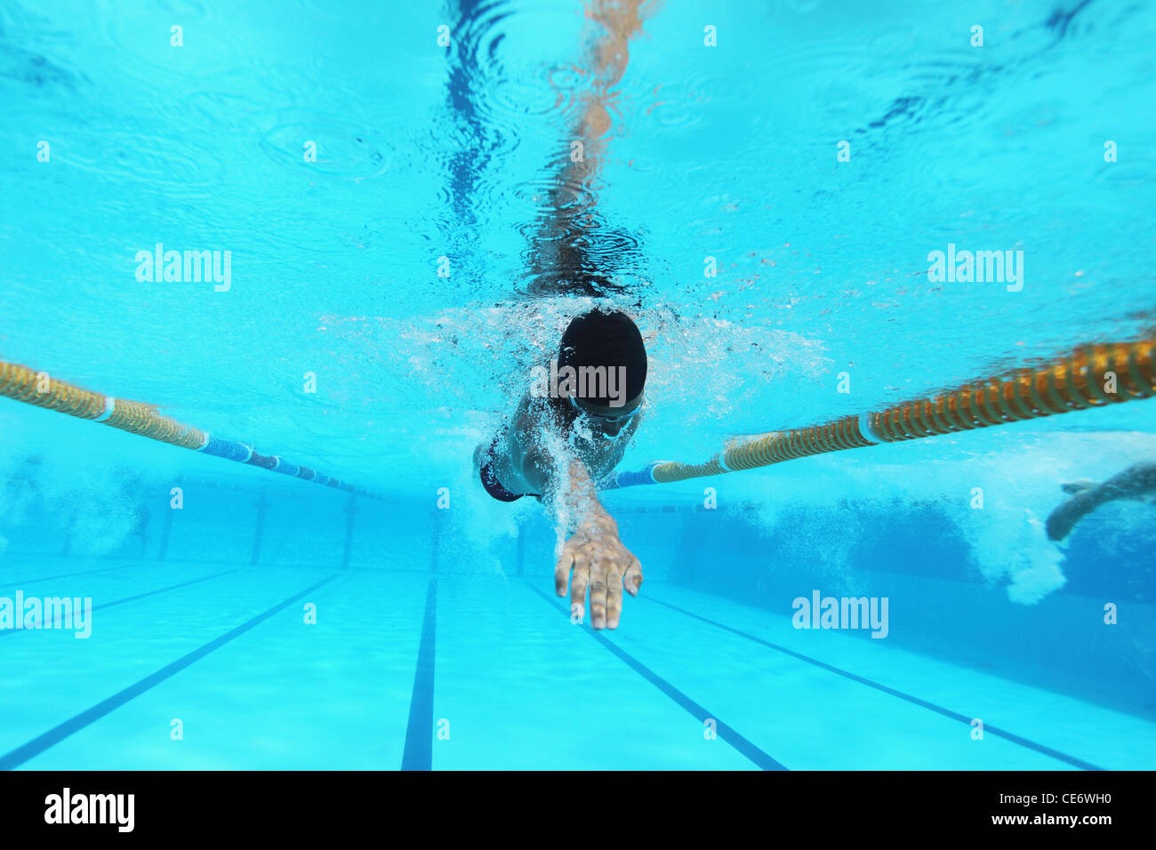 Uomo di nuoto in piscina, Subacquea Foto Stock