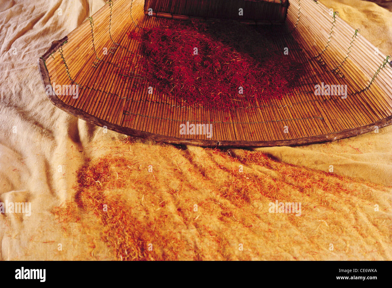Pulizia dello zafferano, rimozione delle impurità; Pampore; Saffron Città del Kashmir; Pampur; Srinagar; Kashmir; India; Asia Foto Stock