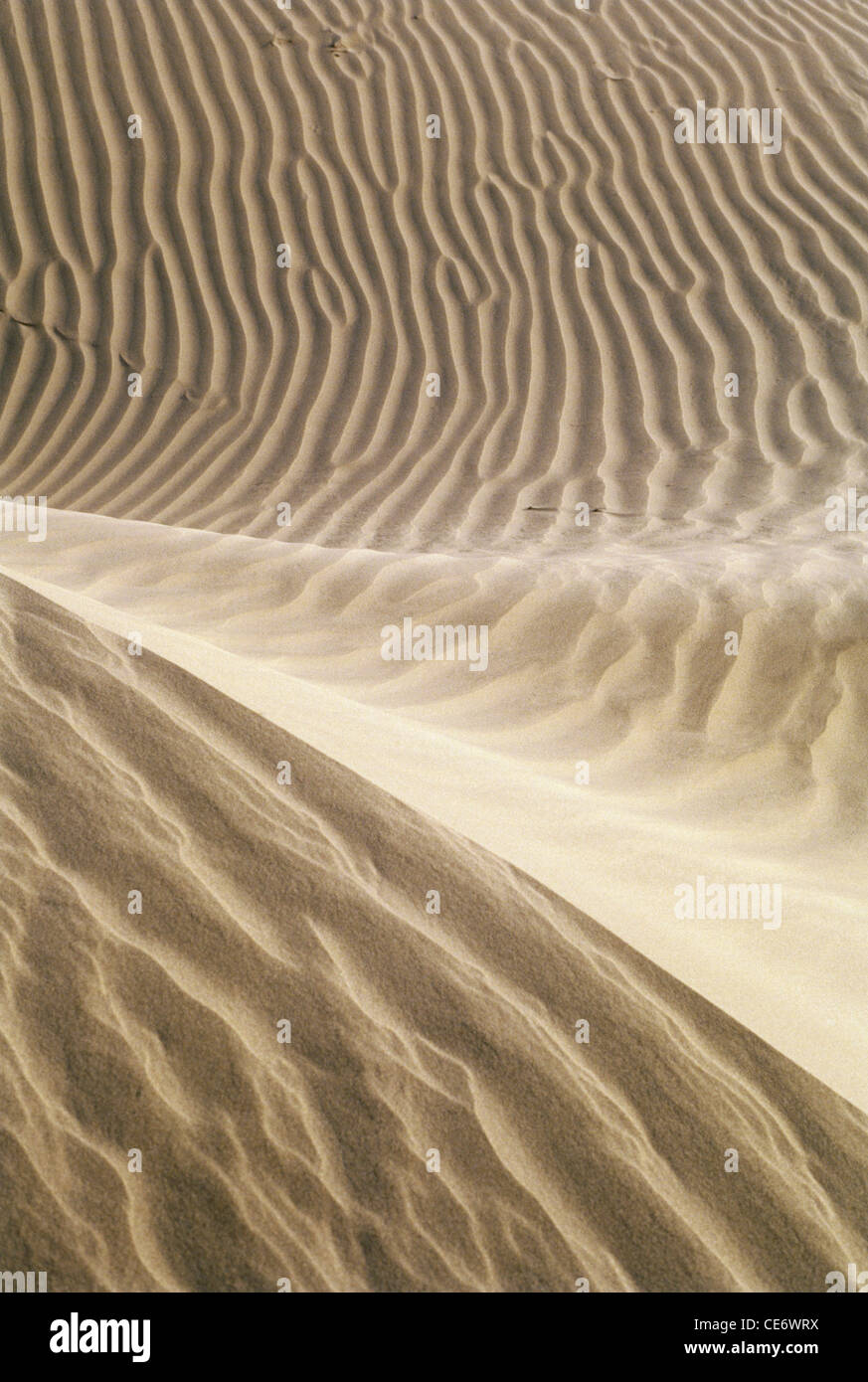HMA 86182 : dune di sabbia Khuri Jaisalmer Rajasthan in India Foto Stock