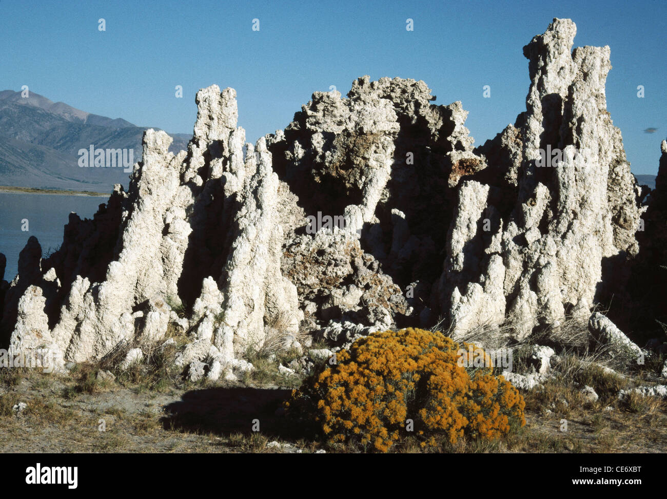 AMA 86222 : tufo rock formazione torri lago mono California USA Stati Uniti d'America Foto Stock