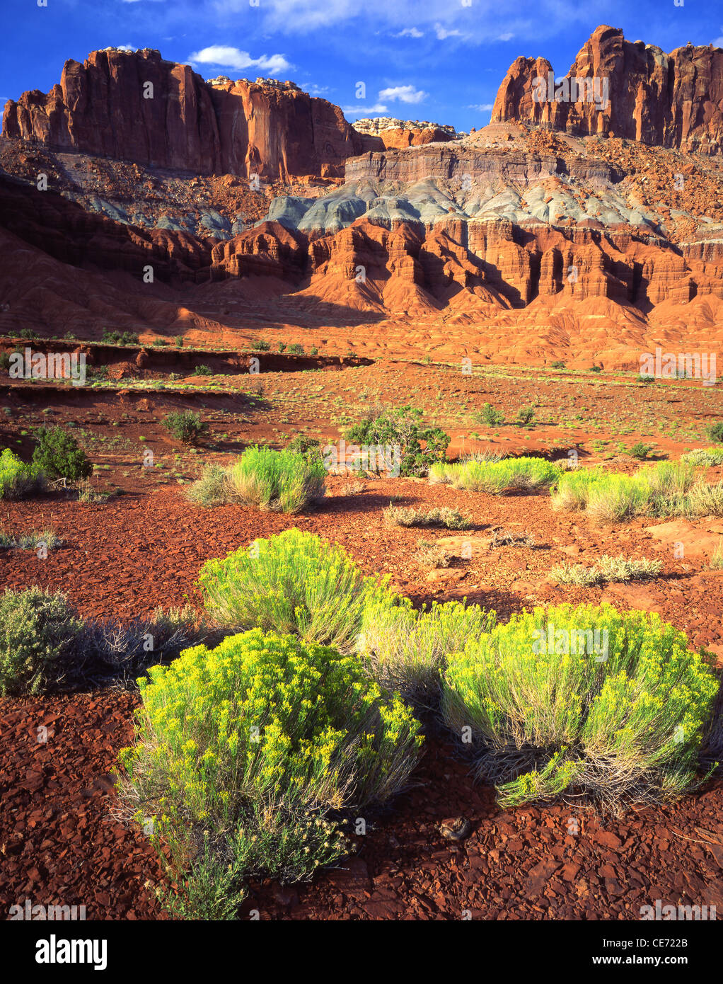 La parete scanalata e boccola di coniglio da lungo la Hwy 24 attraverso il parco nazionale di Capitol Reef nel sud dello Utah Foto Stock