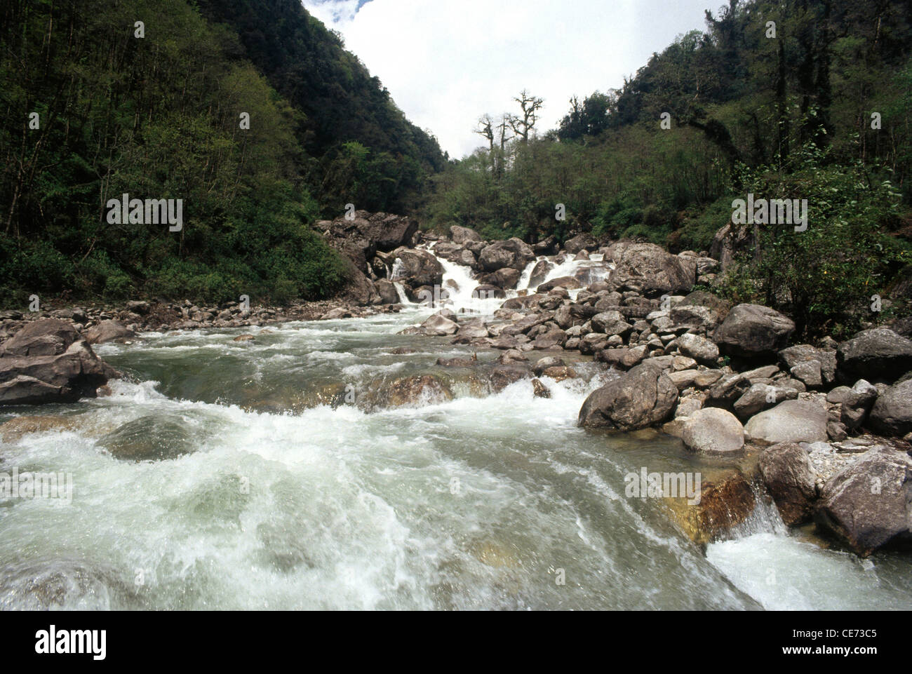 Fiume Teesta, Tholung , Khangchendzonga Parco Nazionale , il Sikkim , India Foto Stock