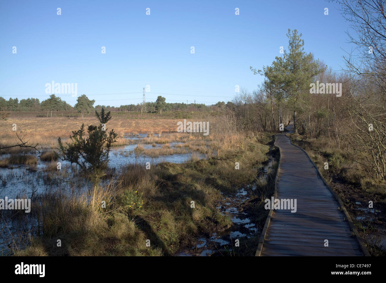 Il consiglio di amministrazione a piedi, Wildmoor Heath, Crowthorne, Berkshire-1 Foto Stock