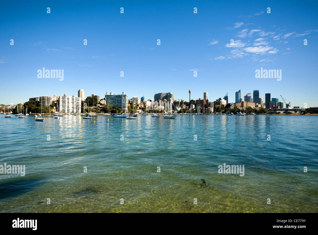 Una vista di Rose Bay - una delle numerose insenature e baie sul Porto di Sydney, Nuovo Galles del Sud, Australia Foto Stock