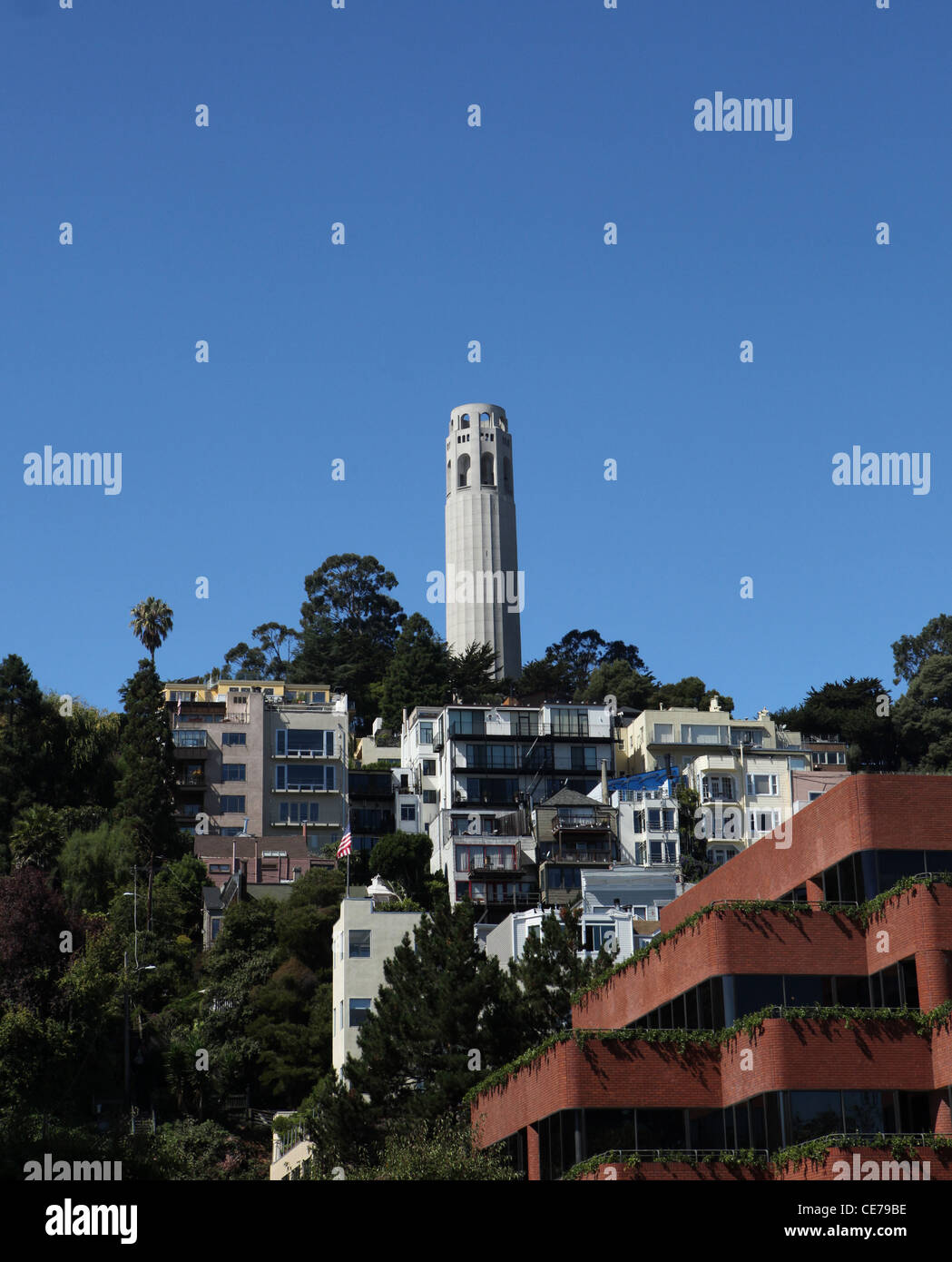 , Un 210-piedi (64 m) torre in The Telegraph Hill quartiere di San Francisco, California. Foto Stock