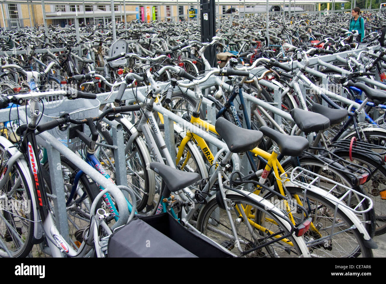 Molti bicicletta ad un parcheggio bici a Bruges in Belgio Foto Stock