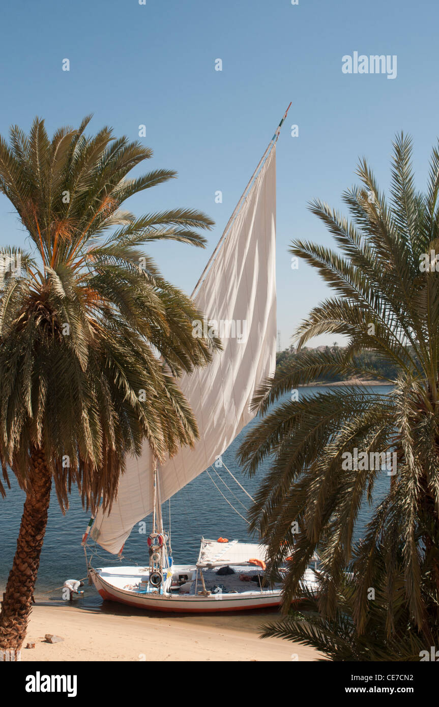 Feluca ormeggiata sulla riva del Nilo, a nord di Aswan Foto Stock
