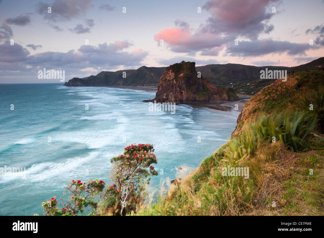 Piha Beach e Lion Rock al tramonto. Piha, Waitakere gamme Parco Regionale, Auckland, Isola del nord, Nuova Zelanda Foto Stock