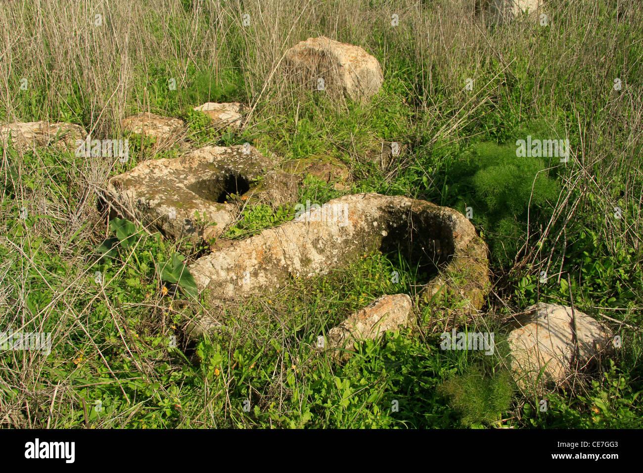 Israele, Shephelah, antico frantoio di Tel Miqne, sito di Ekron biblica Foto Stock