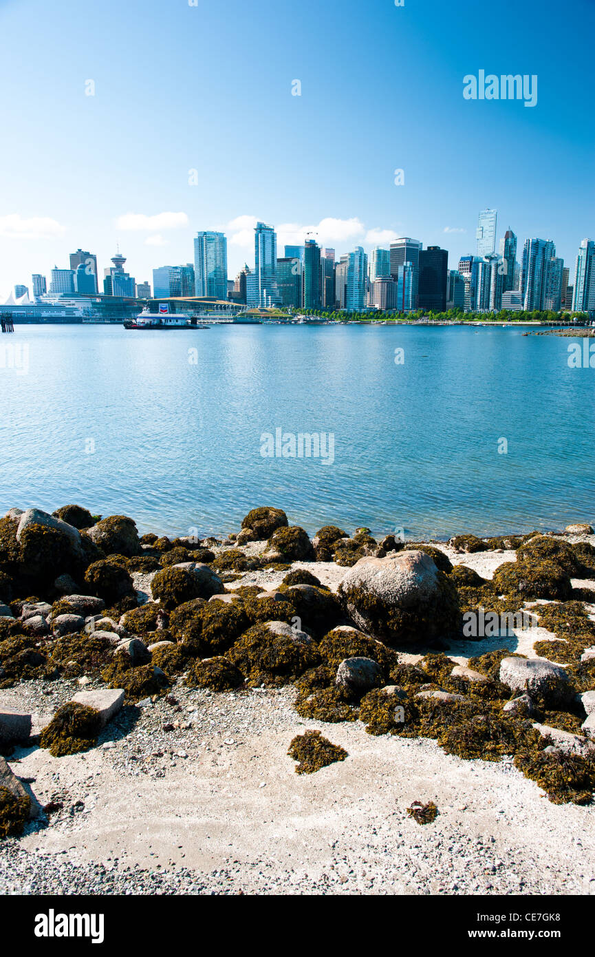 Vancouver skyline della città, vista da Stanley Park, Vancouver, British Columbia, Canada, 2011 Foto Stock