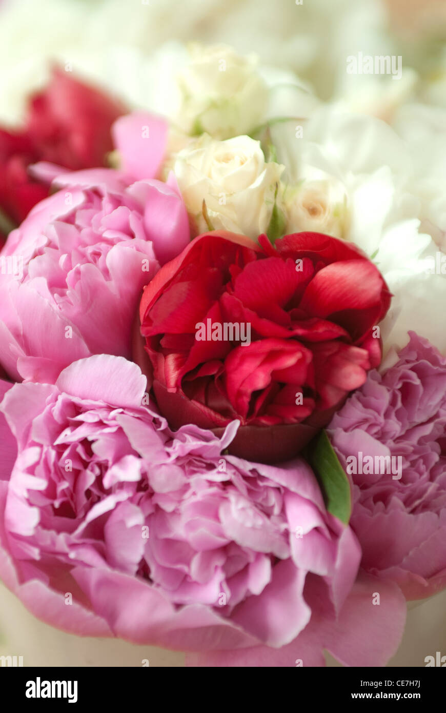 Wedding bouquet di fiori di campo con piccole profondità di campo Foto Stock