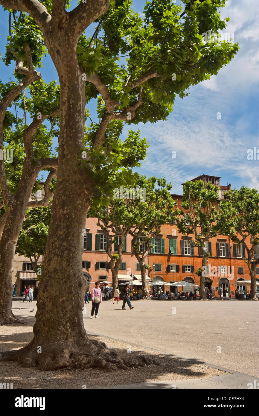 Piazza Bonaparte, Lucca Foto Stock