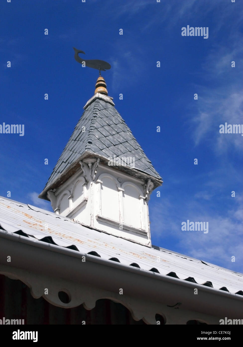 Silhouette di balena sulla banderuola segnavento, Ushuaia, Tierra del Fuego, Argentina. N. PR Foto Stock