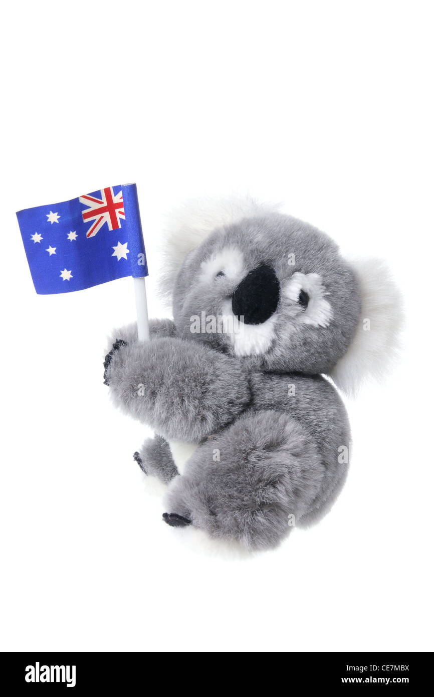 Koala di peluche Foto Stock