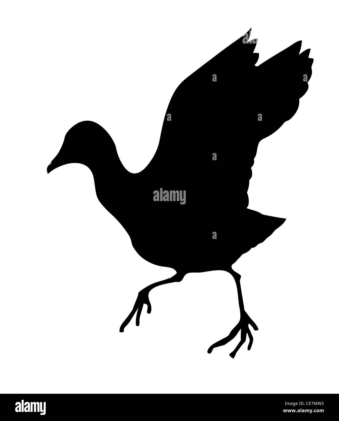 Silhouette di vettore del Wild Bird su sfondo bianco Foto Stock