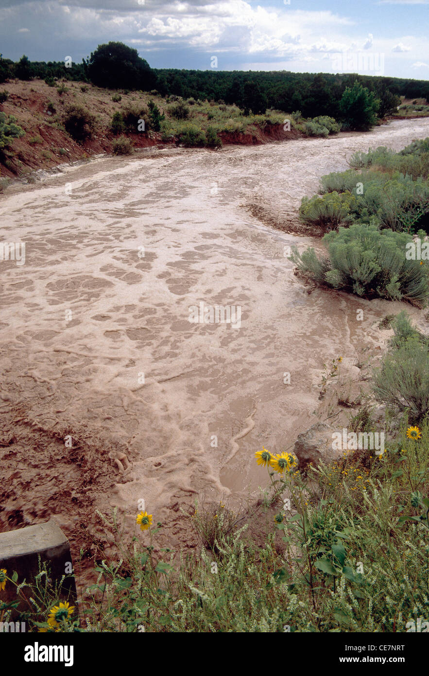 THUNDERSTORM CREA UNA PERICOLOSA ALLUVIONE FLASH IN DRY GULCH APPENA FUORI DAL SANTA FE, NUOVO MESSICO, STATI UNITI Foto Stock
