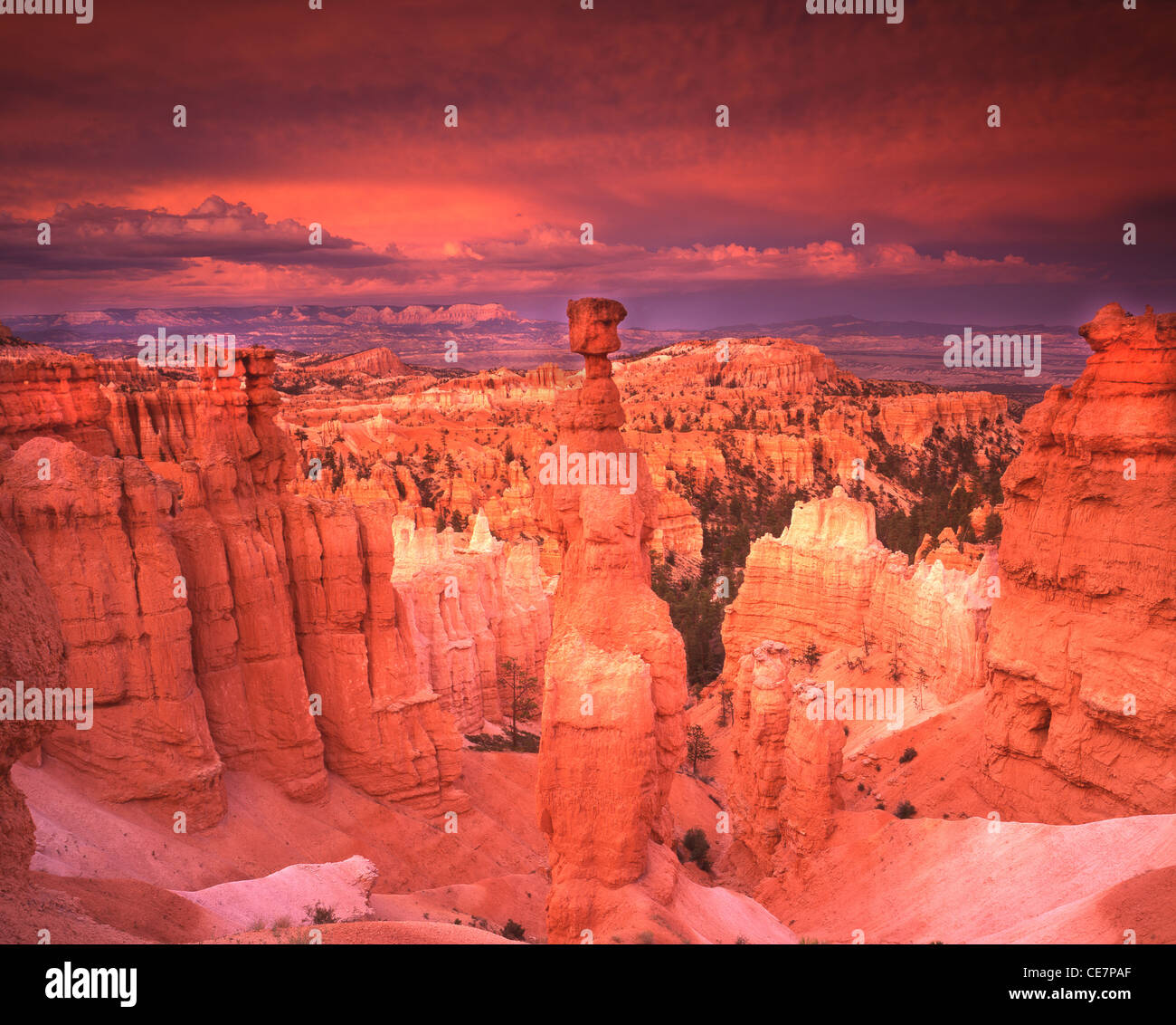 Thors Hammer da lungo il Navajo Loop Trail appena al di sotto del punto di tramonto al tramonto nel Parco Nazionale di Bryce Canyon dello Utah Foto Stock