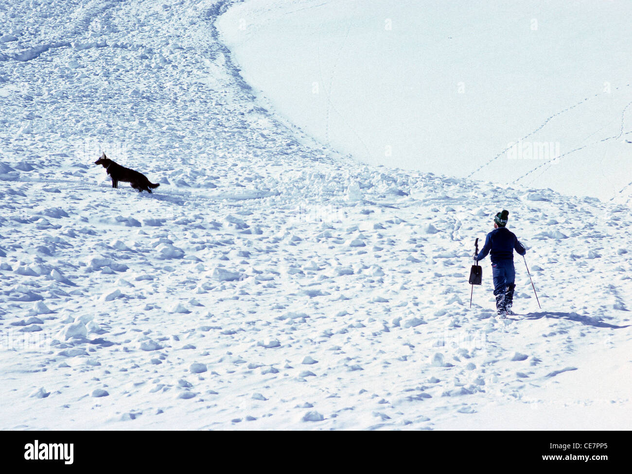 Professional patrolman sci e addestrati di ricerca e salvataggio di cane iniziare la ricerca per un sciatore sepolto in una valanga di neve Foto Stock