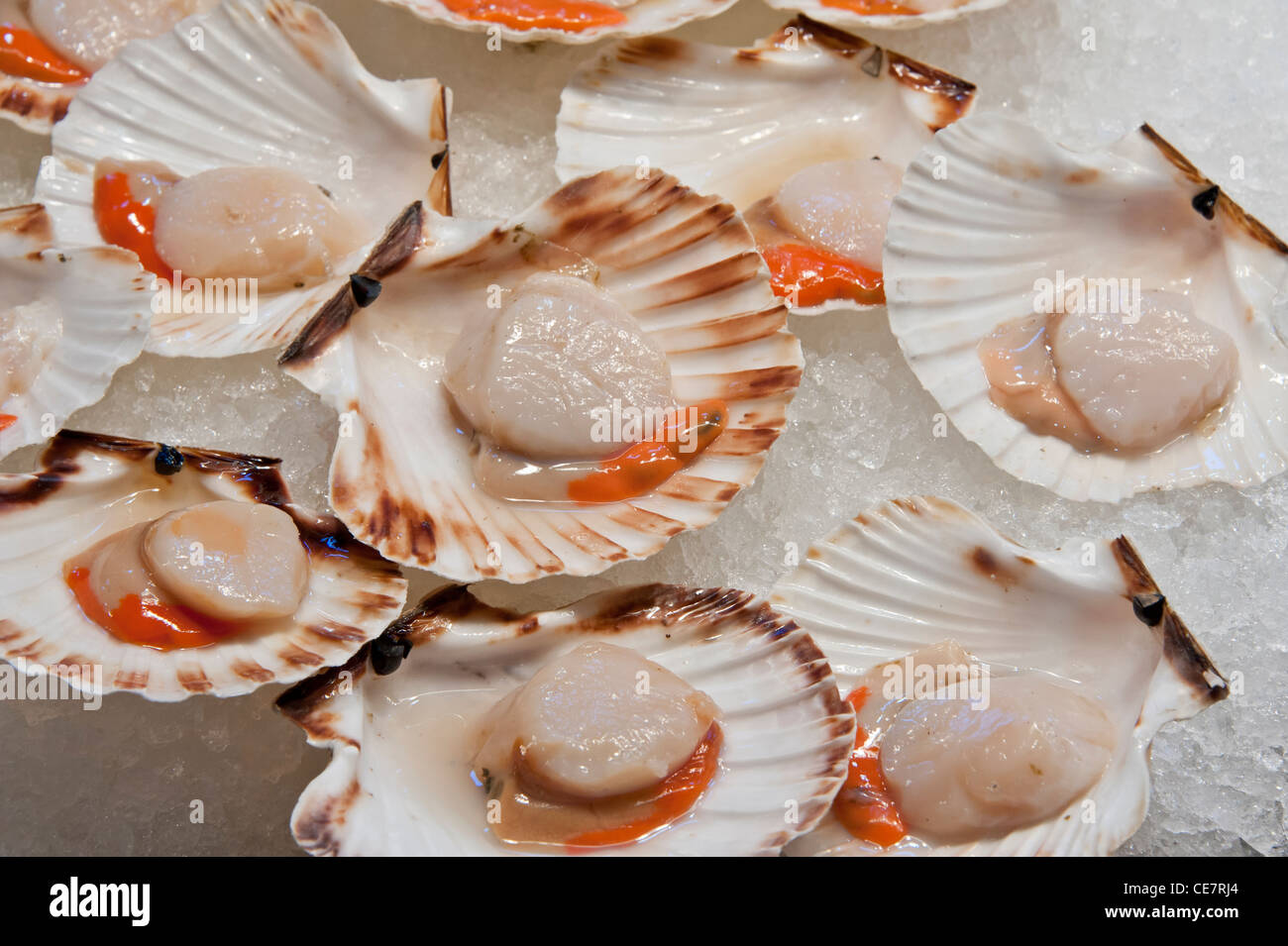 Le capesante di mare in vendita a Venezia, Italia mercato del pesce fresco  Foto stock - Alamy