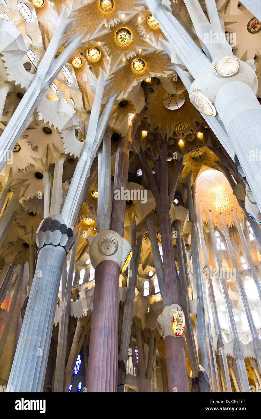 Colonne interne della cattedrale di Gaudì, la Sagrada Familia - una delle più famose attrazioni turistiche di Barcellona, Spagna Foto Stock