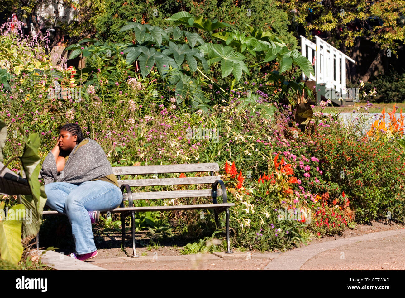 African American donna seduta su una panchina nel parco Foto Stock