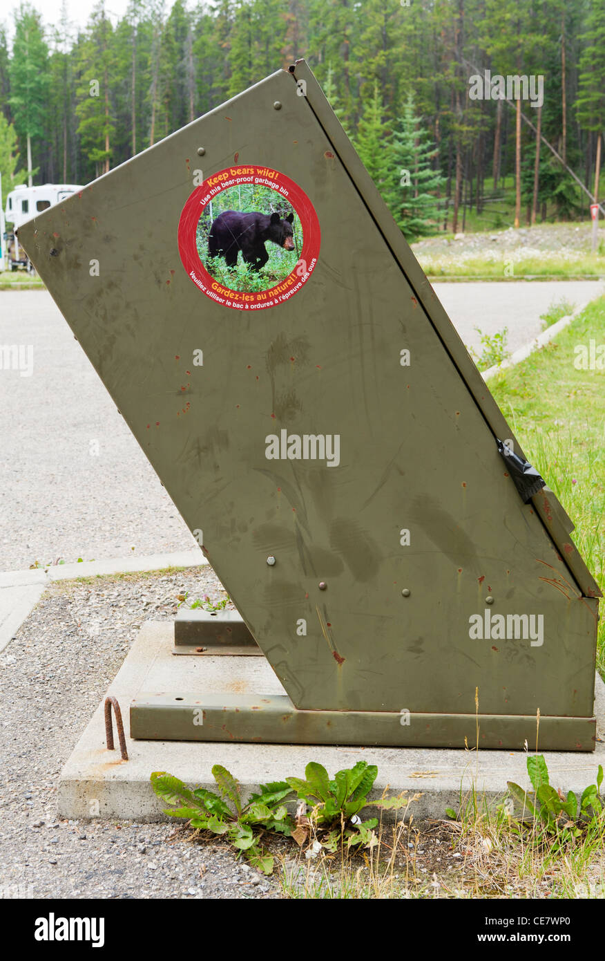 Bear-prova cucciolata bin nel parcheggio a Cascate Athabasca, Alberta, Canada Foto Stock