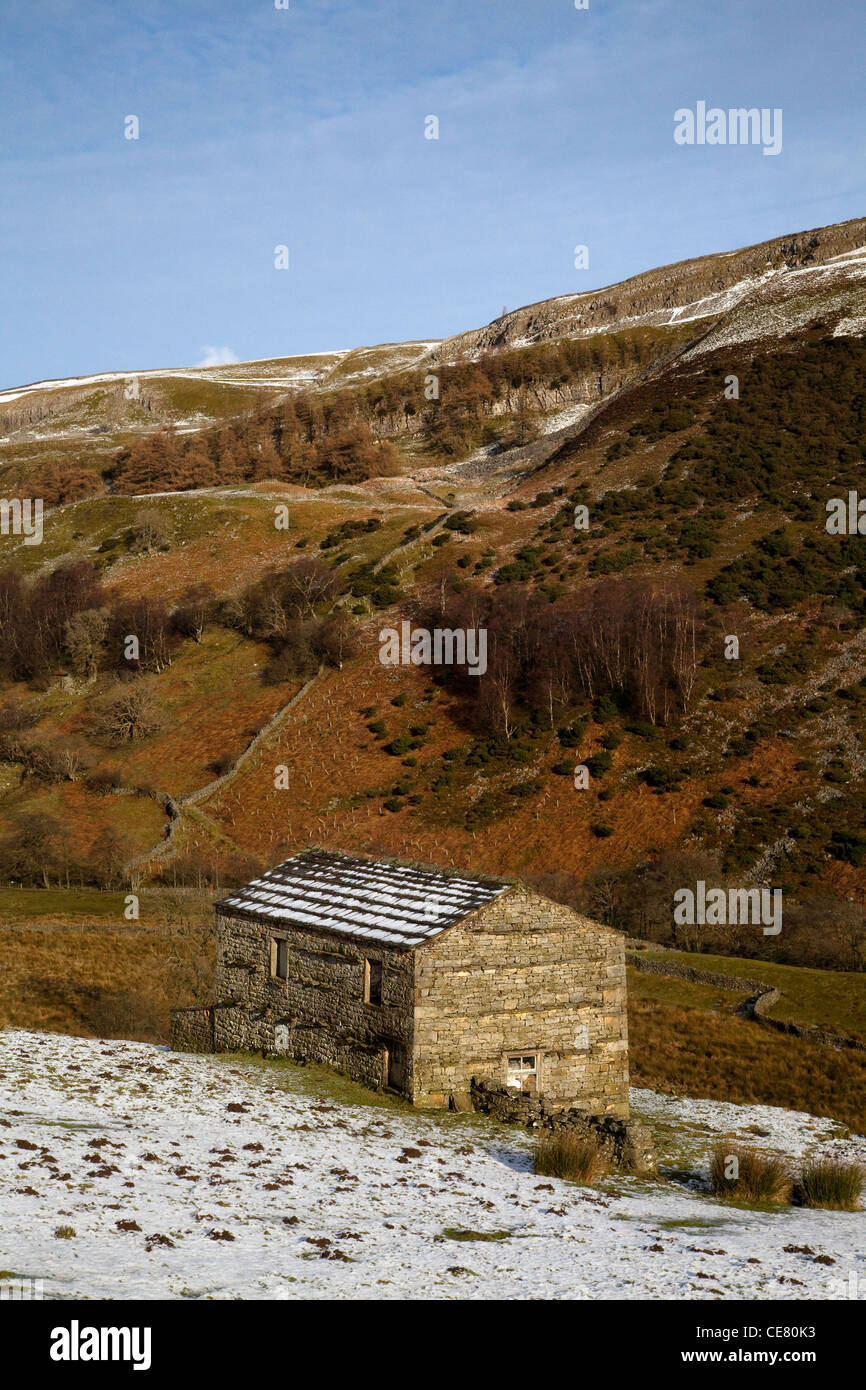 Stone Field Barn In Twaite, nevicate e invernali a Swaledale, North Yorkshire Dales, Richmonshire, Regno Unito Foto Stock