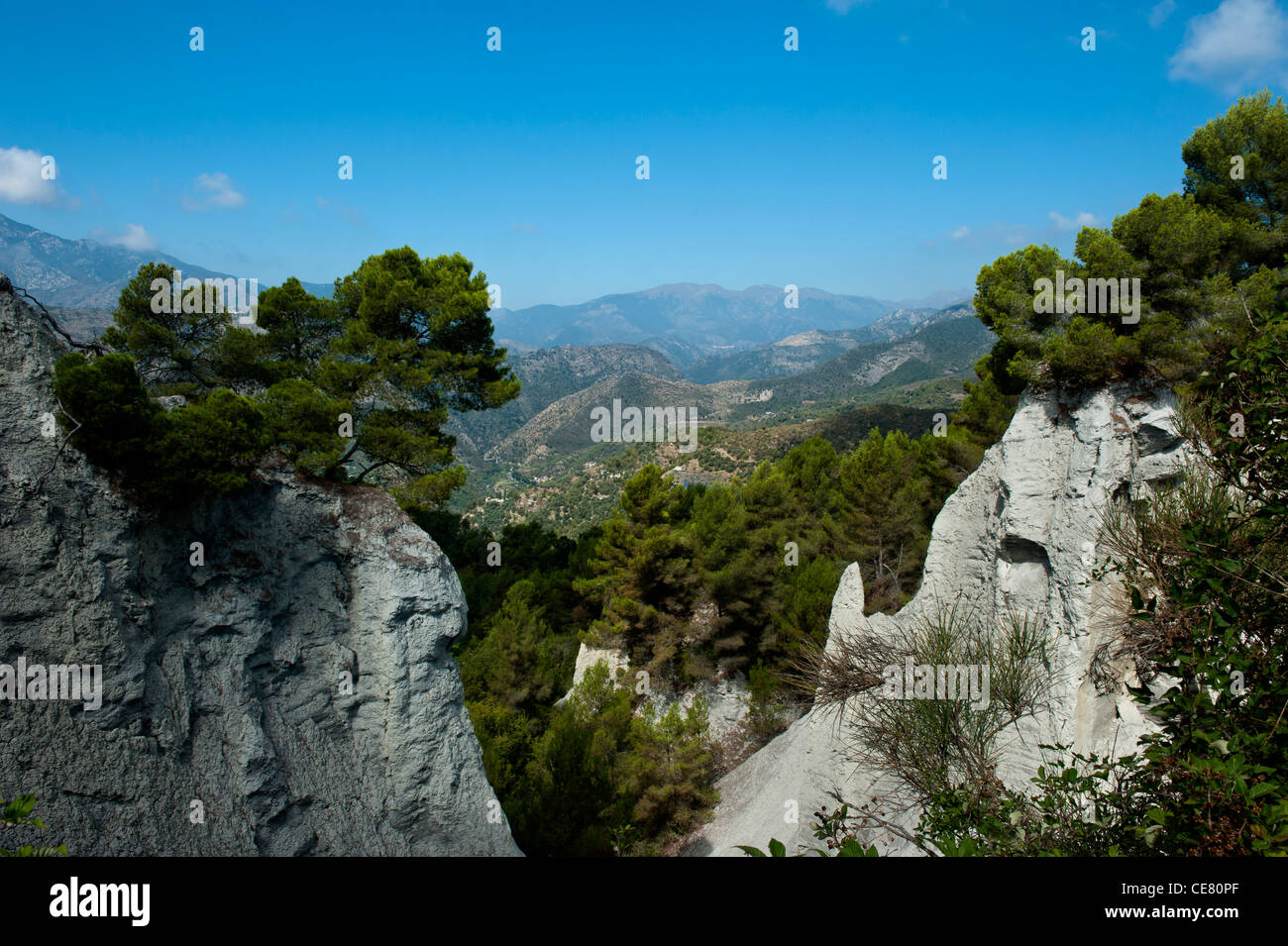 Terre Bianche vigna. Dolceacqua. Liguria. L'Italia. Foto Stock