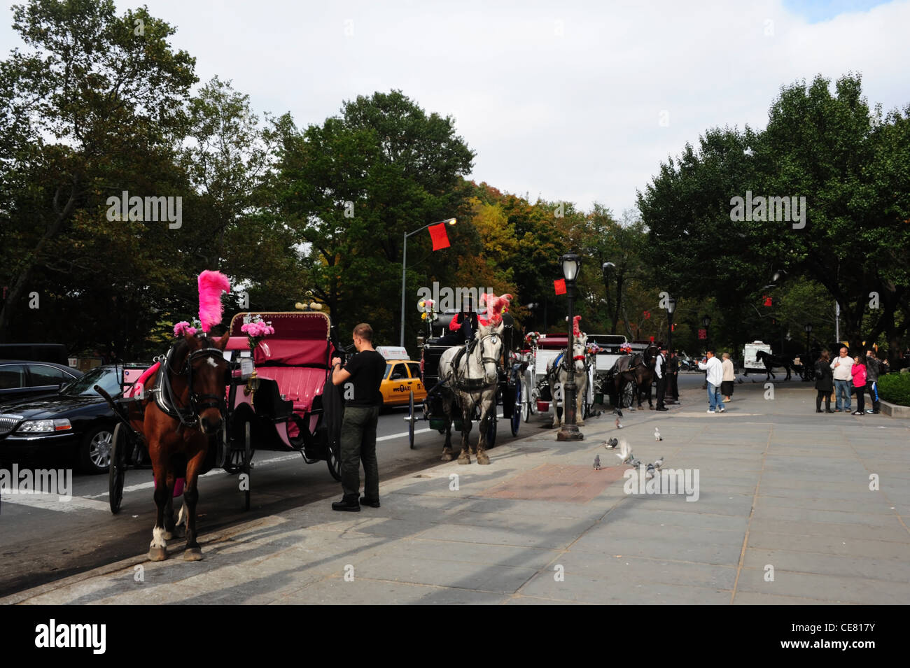 Soleggiata vista sul marciapiede, al Central Park South, cavalli carrelli parcheggiati sul ciglio della strada Grand Army Plaza a West 59th Street, New York Foto Stock